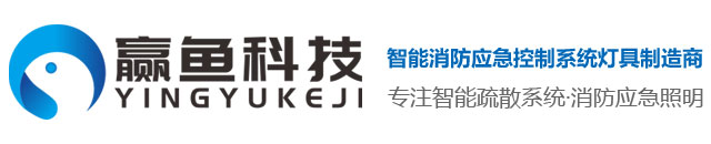 广东省赢鱼科技有限公司官方网站